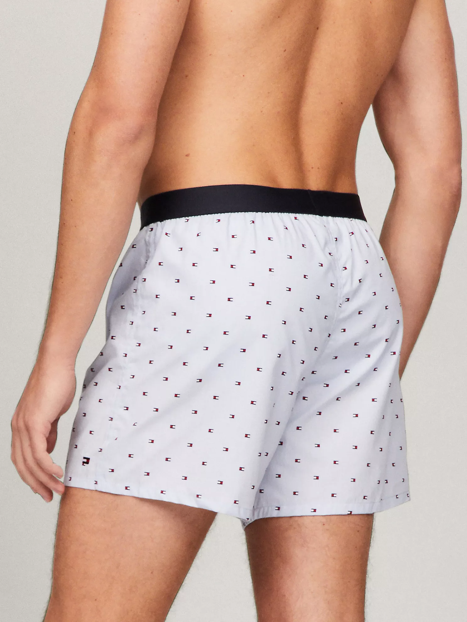 Slim Fit Fashion Woven Boxer - Ice 8 Slim Fit Fashion Woven Boxer
- Ice